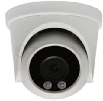 Купольные видеокамеры HD  Tantos TSc-E2HDfN