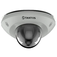 IP камера купольная  Tantos TSi-Dn425FP