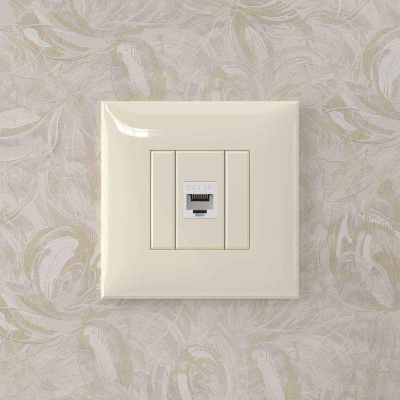 Розетка компьютерная 1-м СП Avanti "Ванильная дымка" RJ45 кат.5E без шторок механизм DKC 4405663
